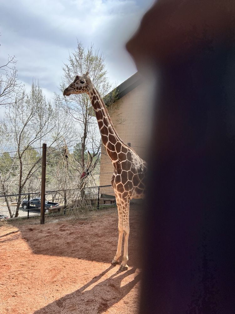Cheyenne Mountain Zoo